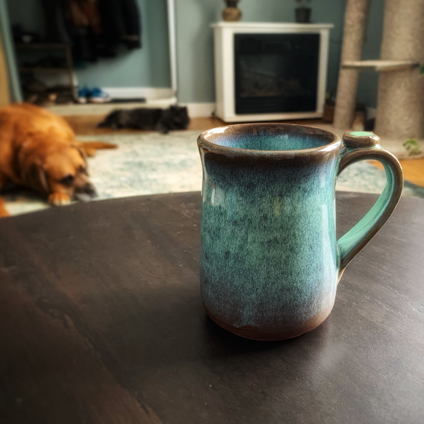 Teal 13oz Mug on Dark clay